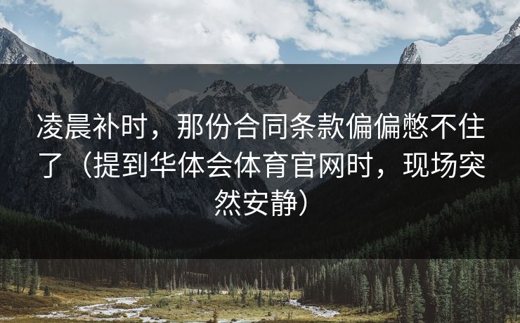 凌晨补时，那份合同条款偏偏憋不住了（提到华体会体育官网时，现场突然安静）